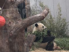 -无锡动物园·太湖欢乐园