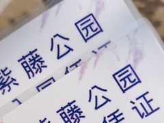 -嘉定紫藤园
