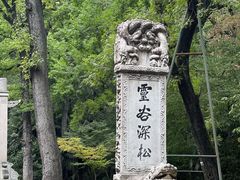 -灵谷景区