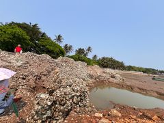 -东寨港红树林旅游区