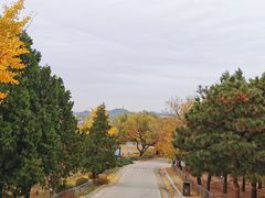 -北京西山国家森林公园