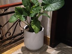 -益健·足疗汗蒸SPA(芙蓉广场店)