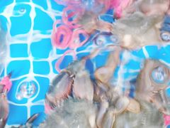 -宾朋海鲜特色美食餐厅·纯手工鲅鱼水饺(兴海路店)