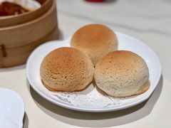 雪顶雄峰-利苑酒家(金宝店)