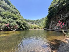 -少华山国家森林公园