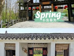 -溱湖国家湿地公园