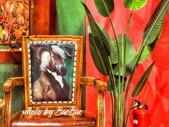 -泰堤坊(淡水体育馆店)