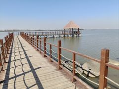 -瑶湖郊野森林公园