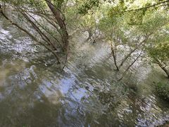 -大湾区中央湿地公园