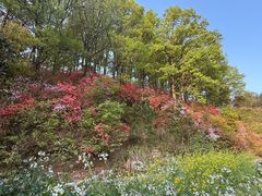 -岳西天峡风景区