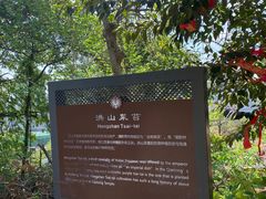 -宝通禅寺