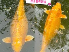 -鲜鱼口巷