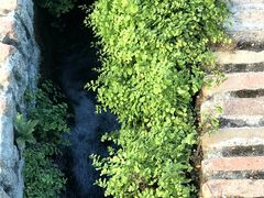 -阿尔罕布拉宫