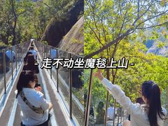 -嵖岈山风景区