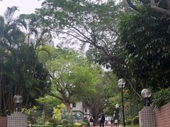 -九龙公园