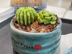 -鲜芋仙(番禺万达广场店)