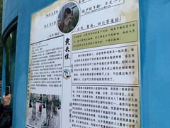 -青藏高原野生动物园