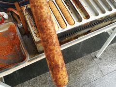 -成都天府丽都喜来登饭店