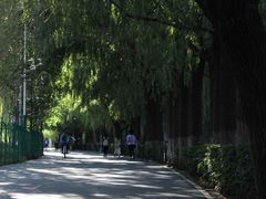 -长白岛森林公园