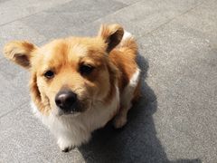 -砂之船奥莱(南京江宁店)