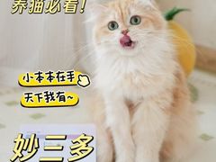 -立德24H动物医院·夜诊·转诊中心·1.5T核磁共振(海珠店)