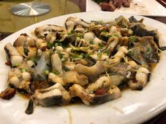 红枣清蒸寻龙鱼-亮庆餐厅·粤菜·早茶(篁庄店)