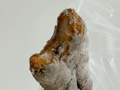 -糯米油条经营部