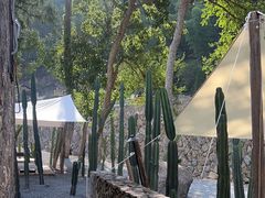 -MOJ coffee(瓯海泽雅水碓坑店)