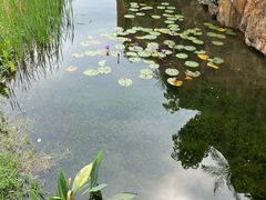 -海珠儿童公园
