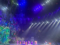 -广州长隆国际大马戏