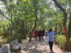 -广东惠东海龟国家级自然保护区