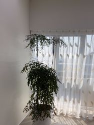 点击看大图 -HEYAN荷妍专业脱毛连锁机构