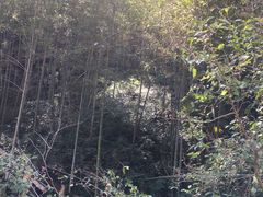 -宁波浙东大竹海景区