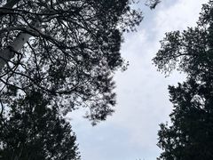 -颐和园