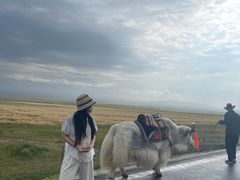 -青海湖国家重点风景名胜区