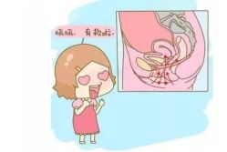 -邢台妇产医院