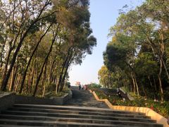 -深圳国际园林花卉博览园