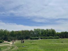 -马家湾湿地公园