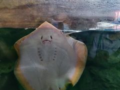 -珠海长隆海洋王国