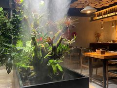 -森味薪火烧•烧鸟居酒屋•日本料理(望京店)