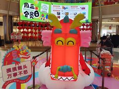 -林辉家宴·本地家常菜·头牌清远鸡(先锋店)