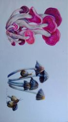iphone_upload_pic-周忆刺青原创设计定制