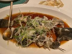 蜜汁酱蒸老虎斑-三号黄浦会Canton Table