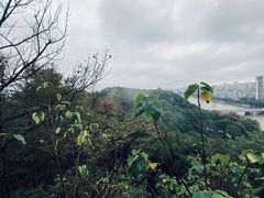 -云碧峰国家森林公园