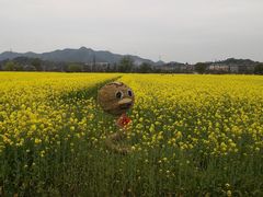 -湘湖金融镇