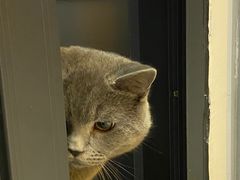 -Catmate·猫肥家润(金润铂宫店)