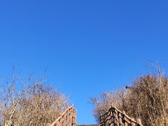 -大围山国家森林公园