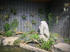 -云溪植物园