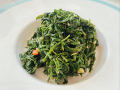 养生枸杞苗-老毛手抓·盐池滩羊非遗手抓(宁夏总店)