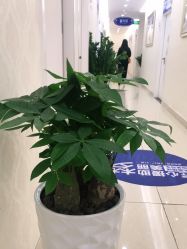 -海峡医疗美容医院